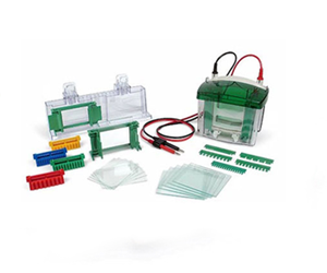 Biorad Mini-PROTEAN Tetra Electrophoresis System 伯樂(lè)小型垂直電泳槽16
